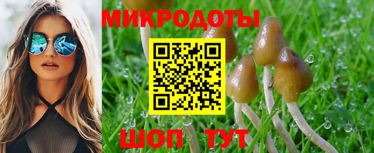Псилоцибиновые грибы Протвино