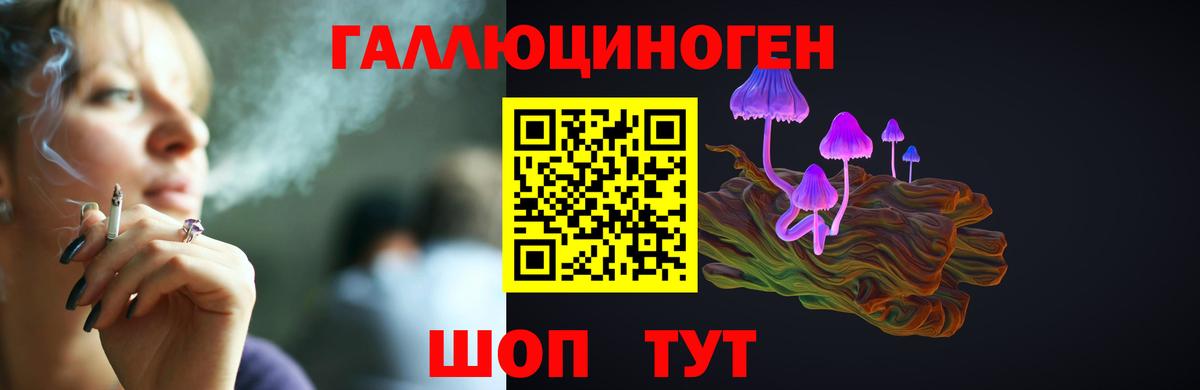 Протвино  Псилоцибиновые грибы Psilocybe  Вход с VPN  Псилоцибиновые грибы прущие грибы 